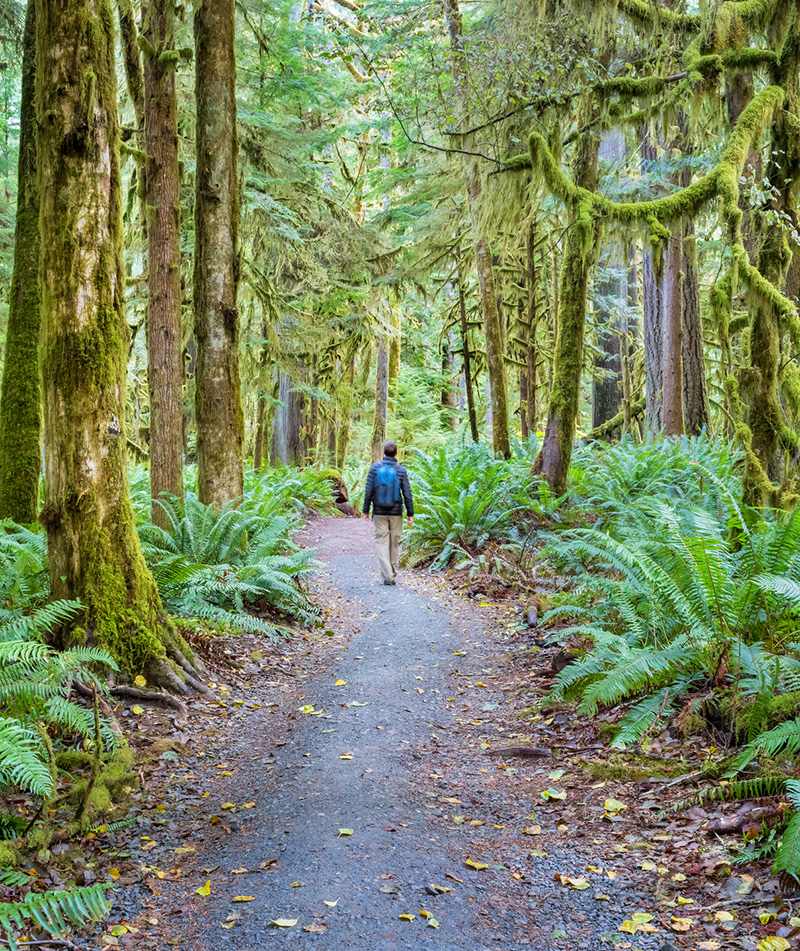 Hiker on trail